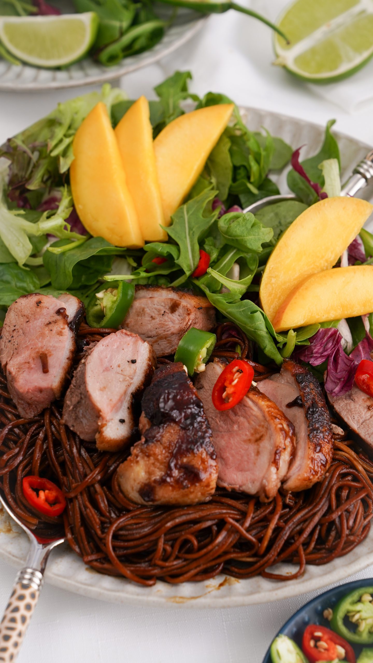 Duck Breast With Soba Noodles Recipe | Luv-a-Duck – Australia’s Favourite Duck